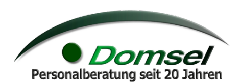 Domsel Consulting